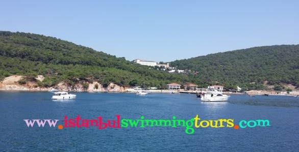 CLICK PLEASE ON THE PICTURE  TO LOG ON WEBSITE