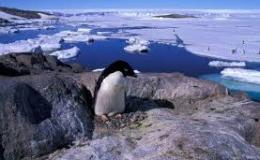 French overseas Regions and&nbsp;Territories