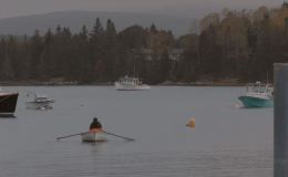 L’image du jour : Acadie dans le Maine, USA&nbsp;(vidéo)