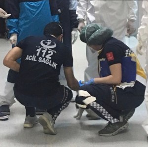 Instanbul cat taking his baby to hospital