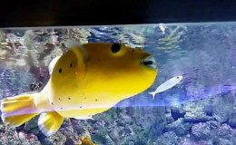 Istanbul : Trip /&nbsp;Tourisme