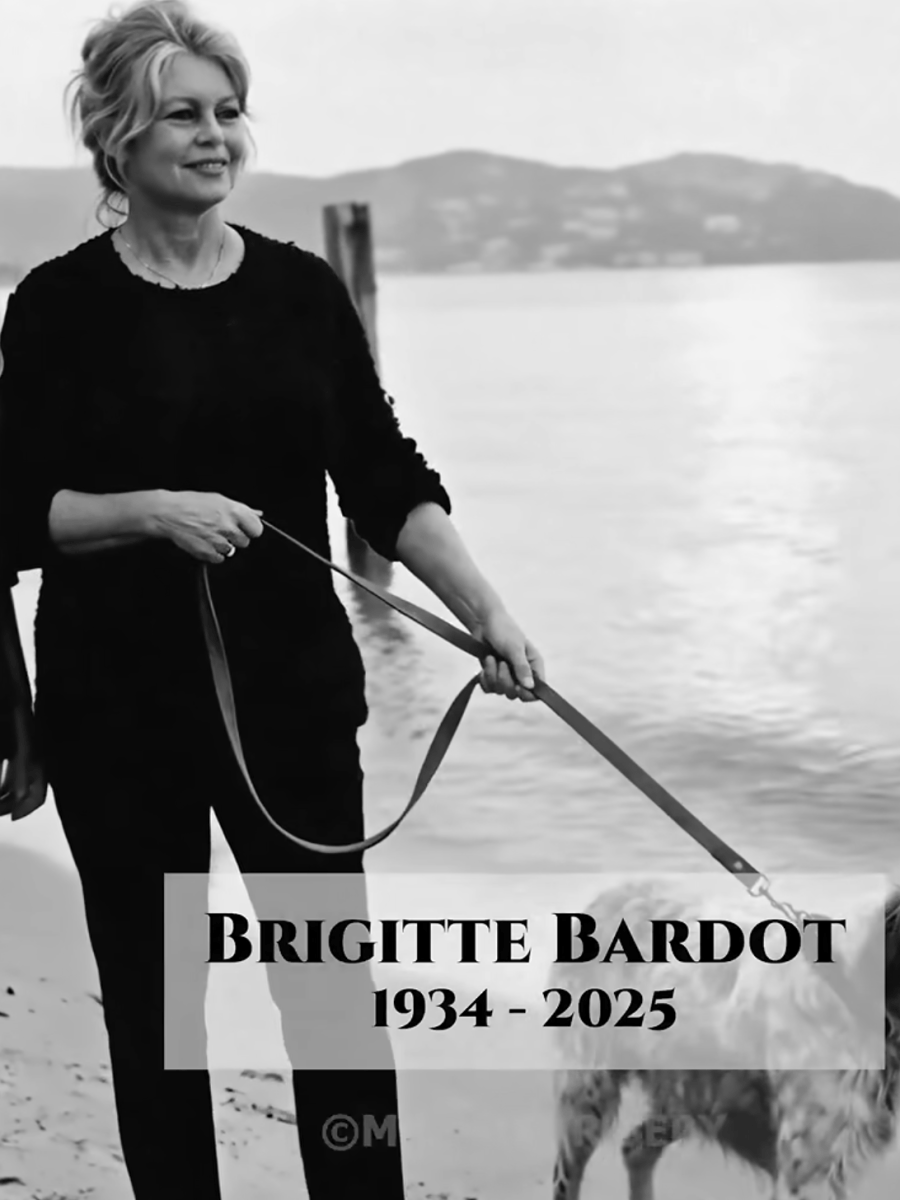 LES LEGENDES DU CINEMA&nbsp;FRANÇAIS