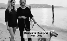 LES LEGENDES DU CINEMA&nbsp;FRANÇAIS